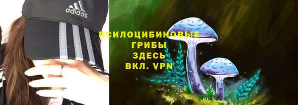 гашиш Рославль