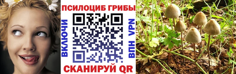 Галлюциногенные грибы ЛСД  Купить где  Ленинградская 